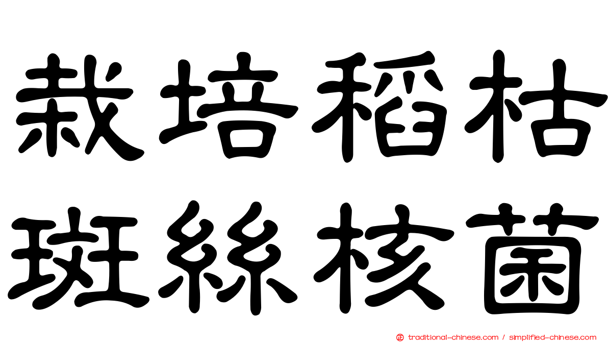 栽培稻枯斑絲核菌
