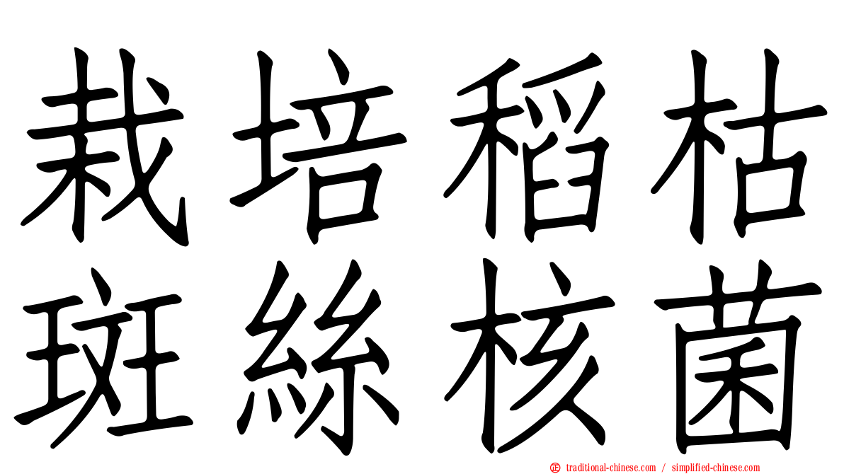栽培稻枯斑絲核菌