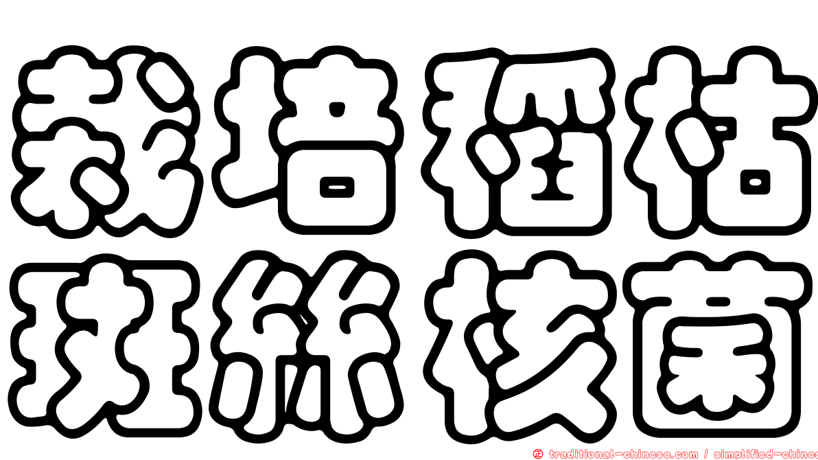 栽培稻枯斑絲核菌