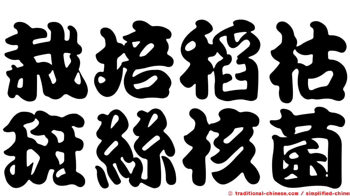栽培稻枯斑絲核菌