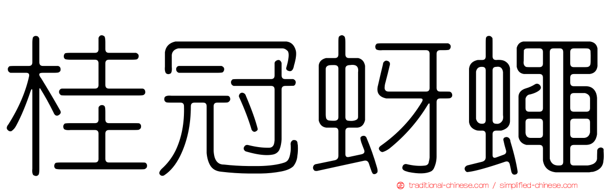 桂冠蚜蠅