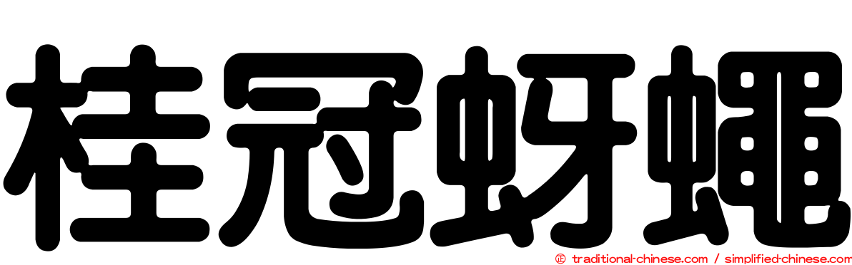 桂冠蚜蠅