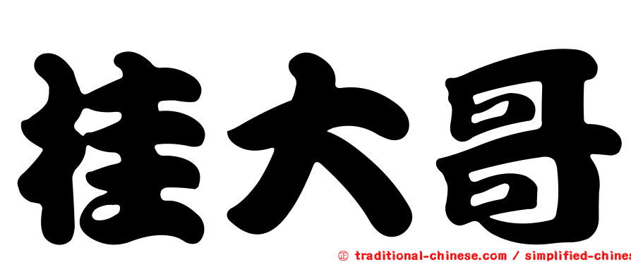 桂大哥