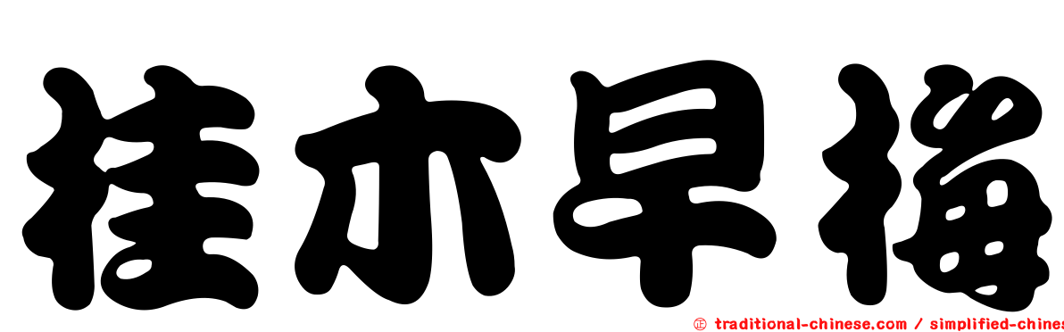 桂木早梅