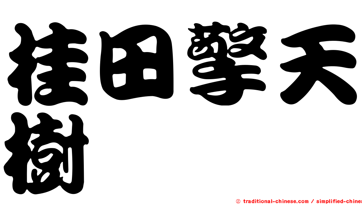 桂田擎天樹