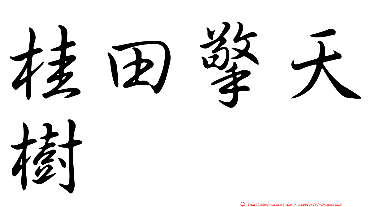 桂田擎天樹