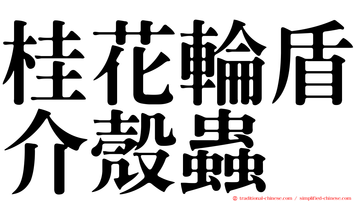 桂花輪盾介殼蟲