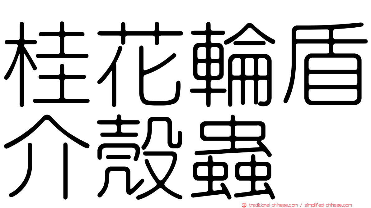 桂花輪盾介殼蟲