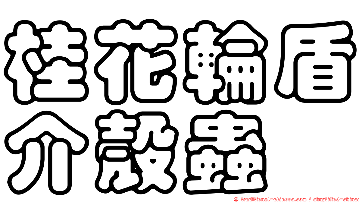 桂花輪盾介殼蟲