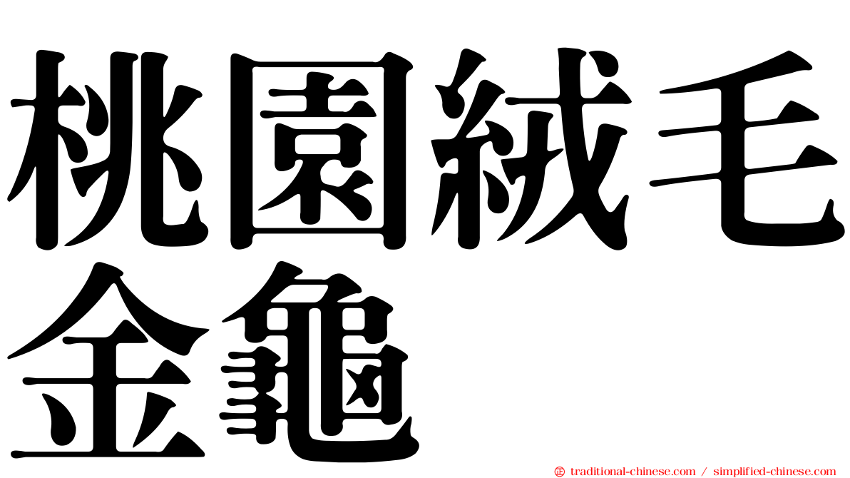 桃園絨毛金龜