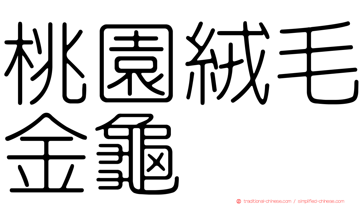 桃園絨毛金龜