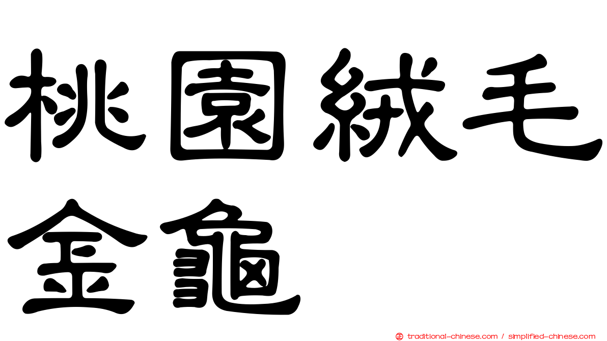 桃園絨毛金龜