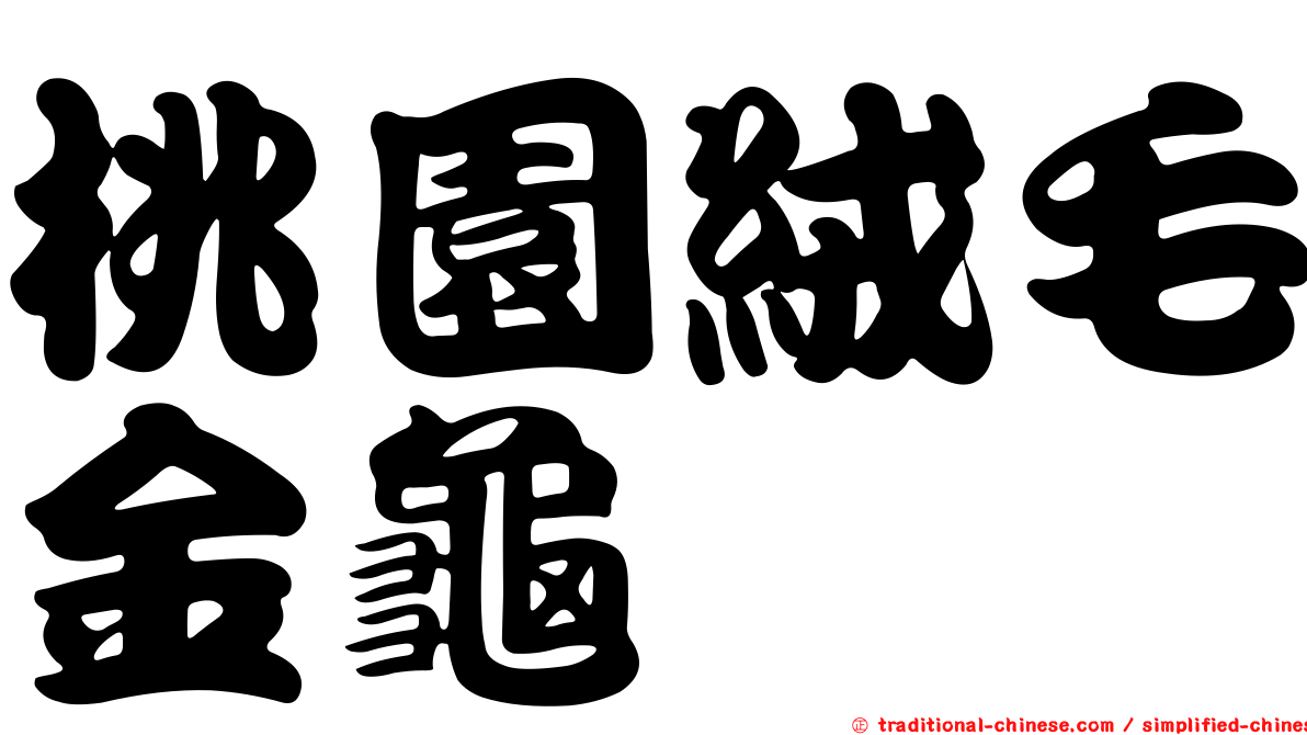 桃園絨毛金龜