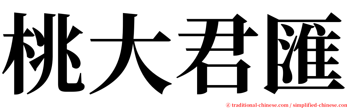 桃大君匯 serif font