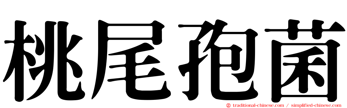 桃尾孢菌