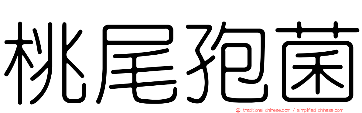 桃尾孢菌