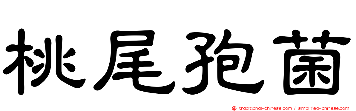 桃尾孢菌
