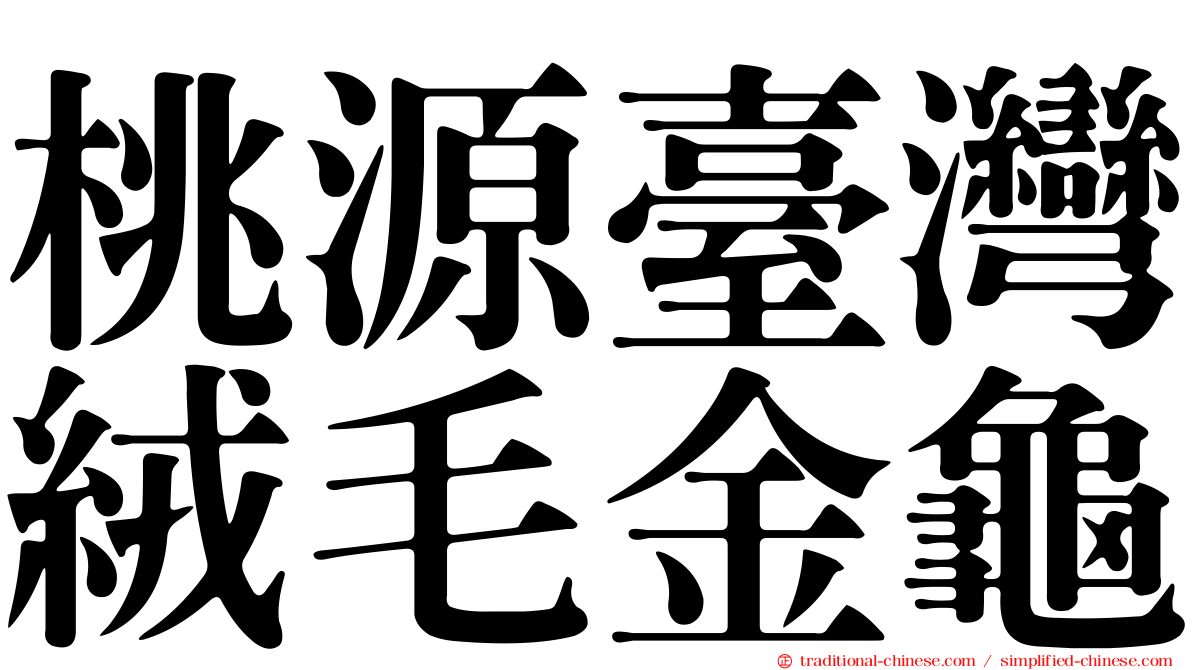 桃源臺灣絨毛金龜