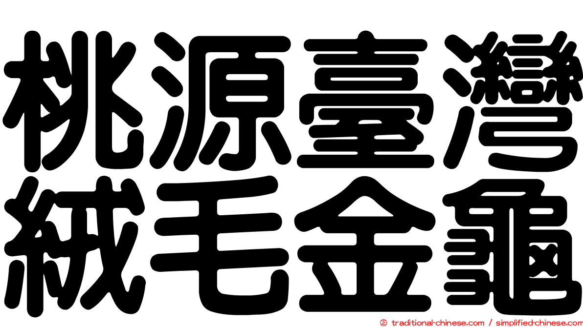 桃源臺灣絨毛金龜