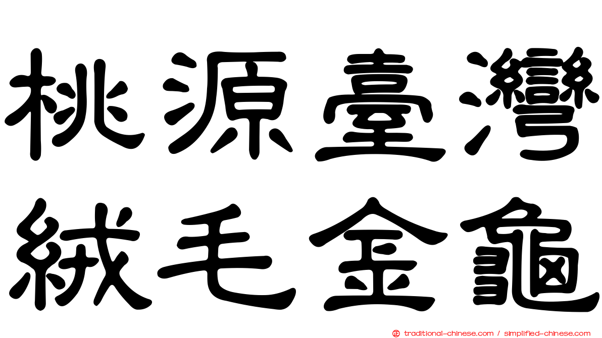 桃源臺灣絨毛金龜
