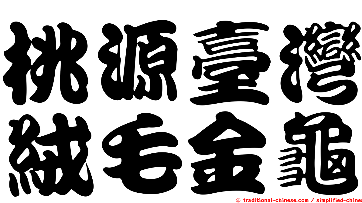 桃源臺灣絨毛金龜