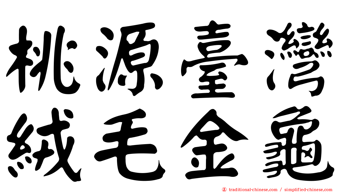 桃源臺灣絨毛金龜