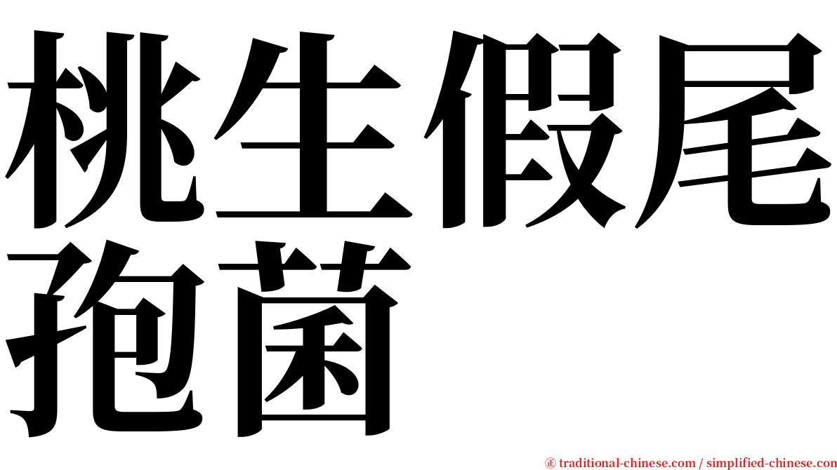 桃生假尾孢菌 serif font