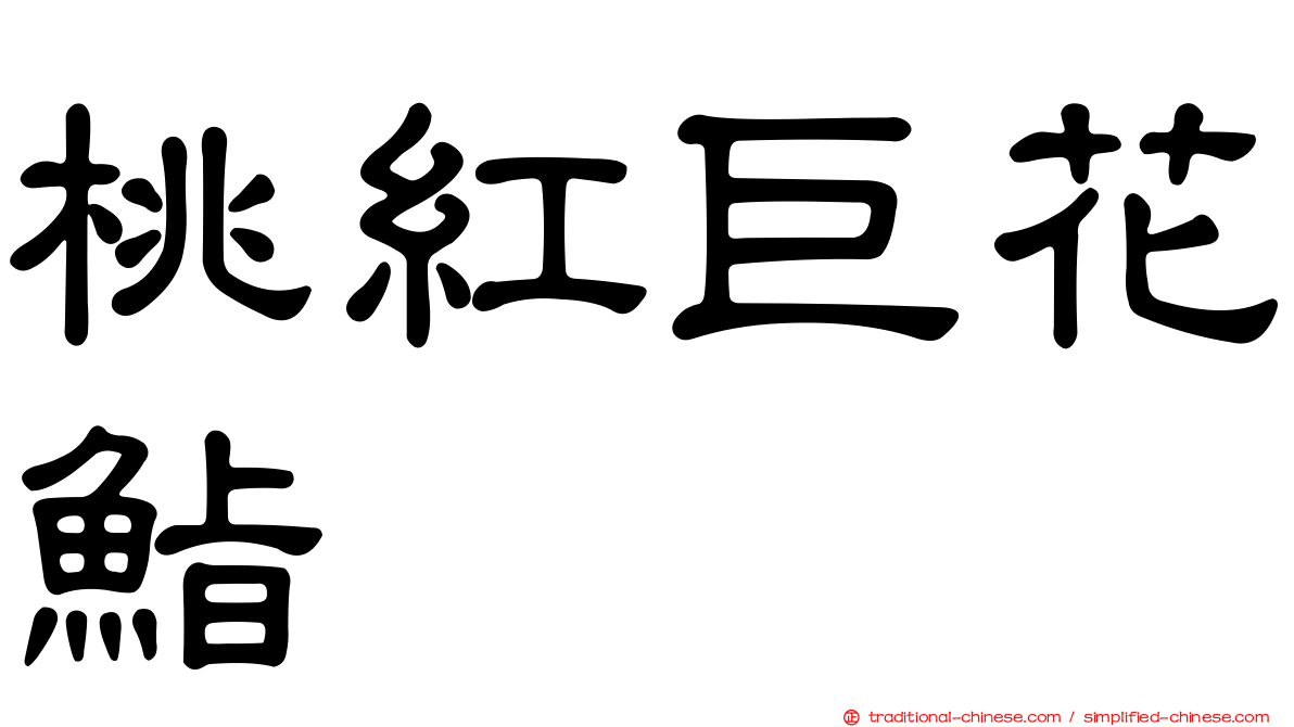 桃紅巨花鮨
