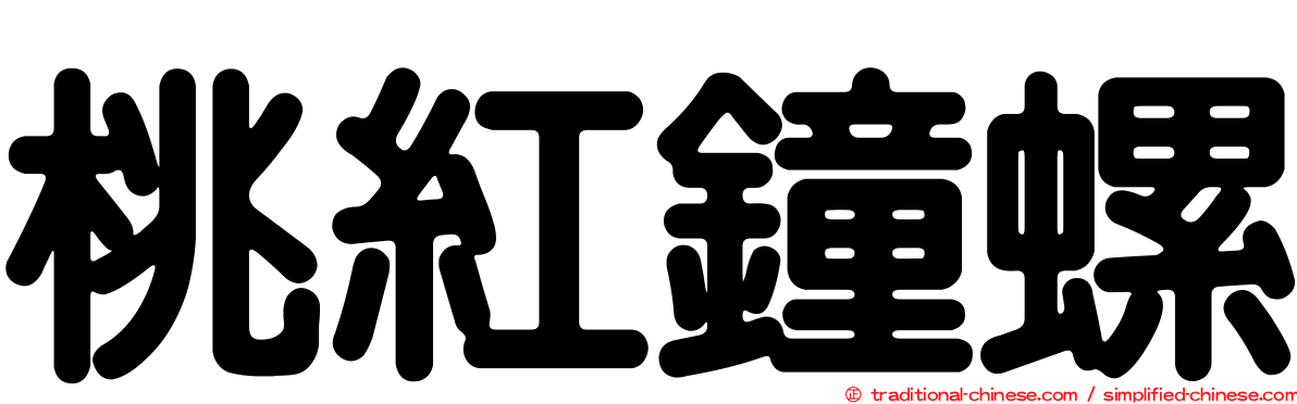 桃紅鐘螺
