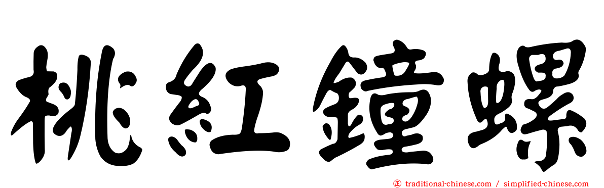 桃紅鐘螺