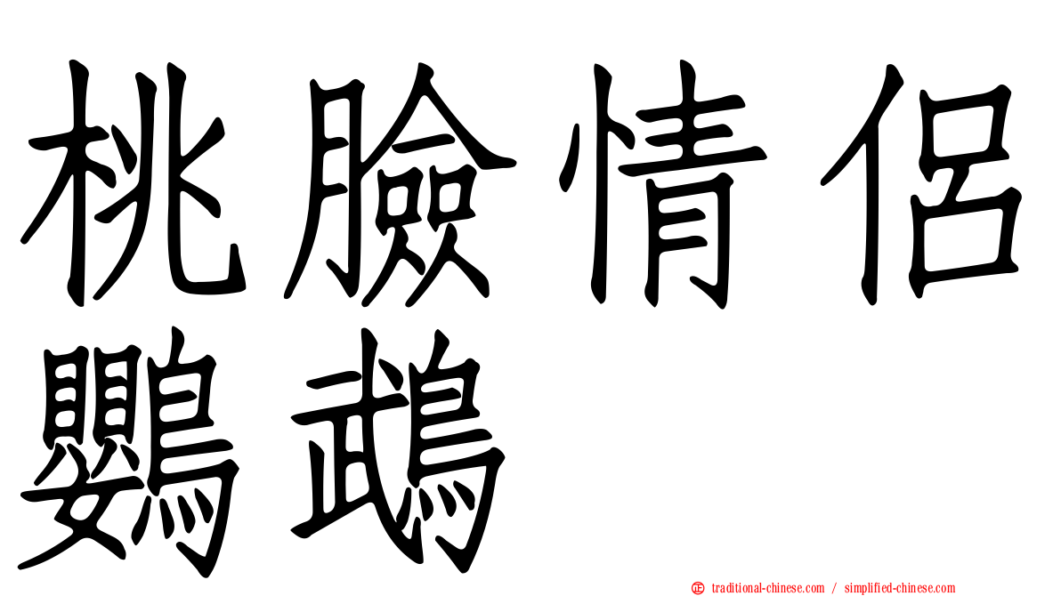 桃臉情侶鸚鵡
