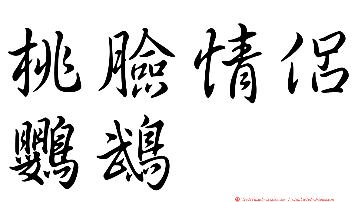 桃臉情侶鸚鵡