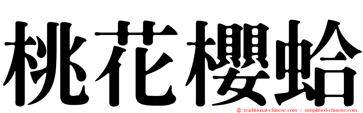 桃花櫻蛤