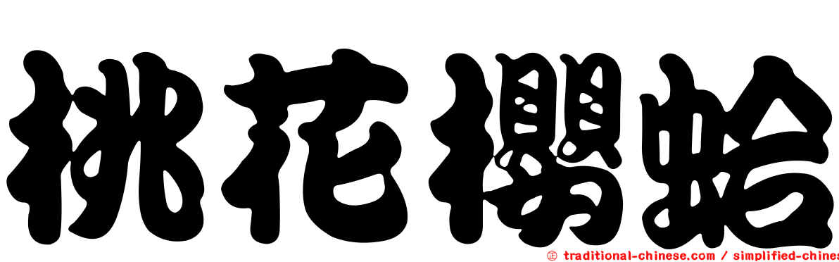桃花櫻蛤