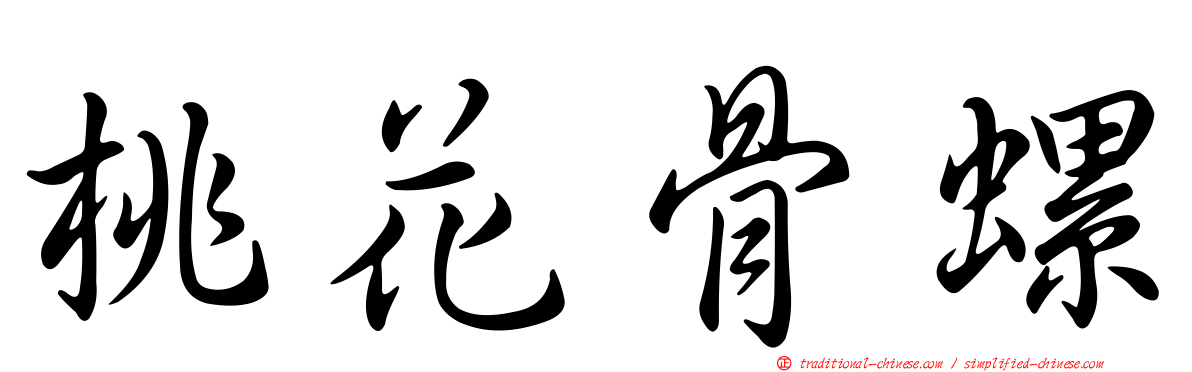 桃花骨螺
