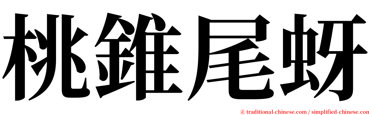 桃錐尾蚜 serif font