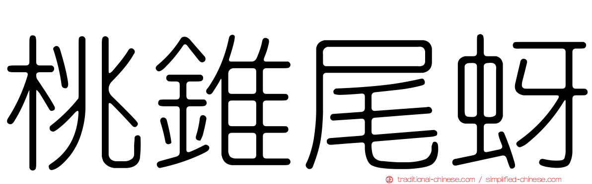 桃錐尾蚜