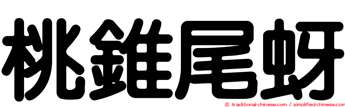 桃錐尾蚜
