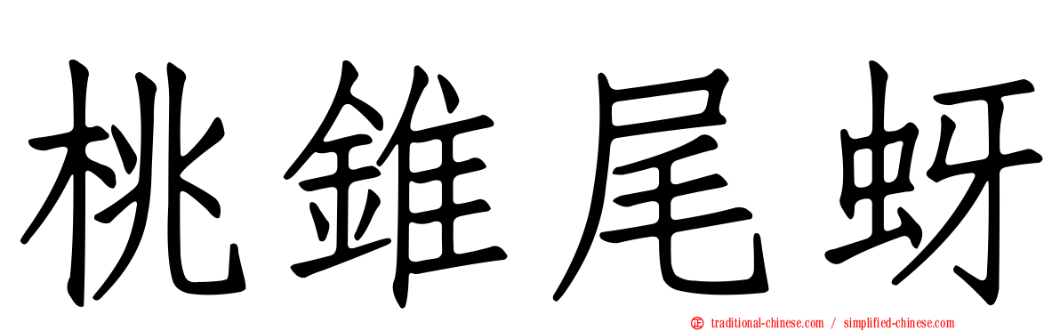 桃錐尾蚜