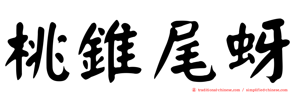 桃錐尾蚜