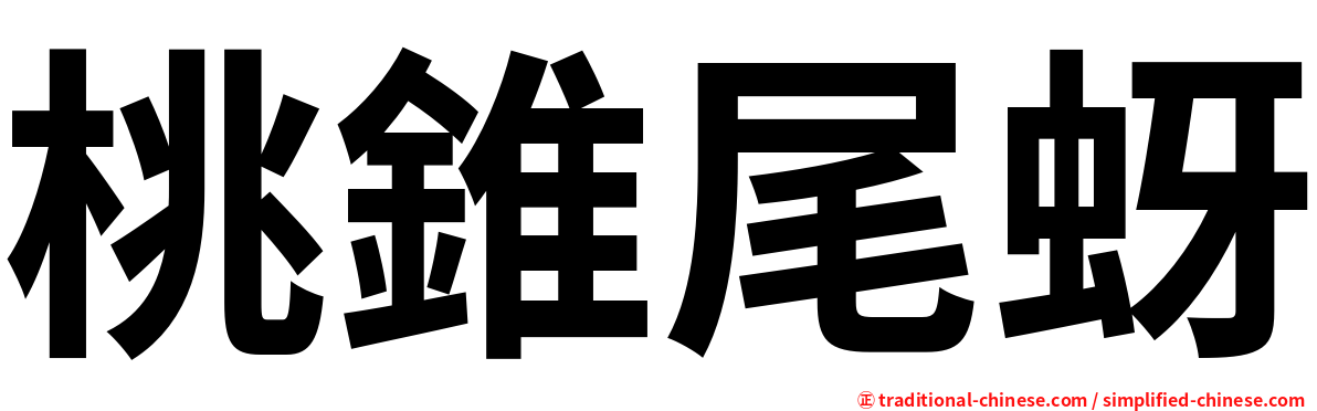 桃錐尾蚜