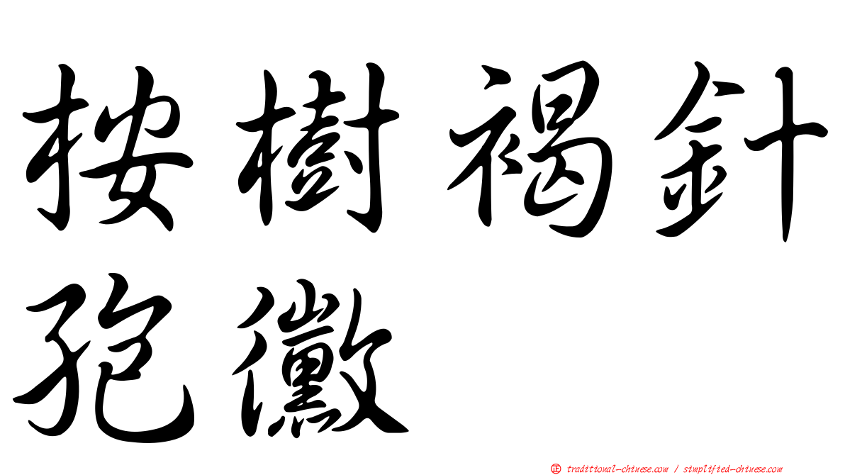 桉樹褐針孢黴