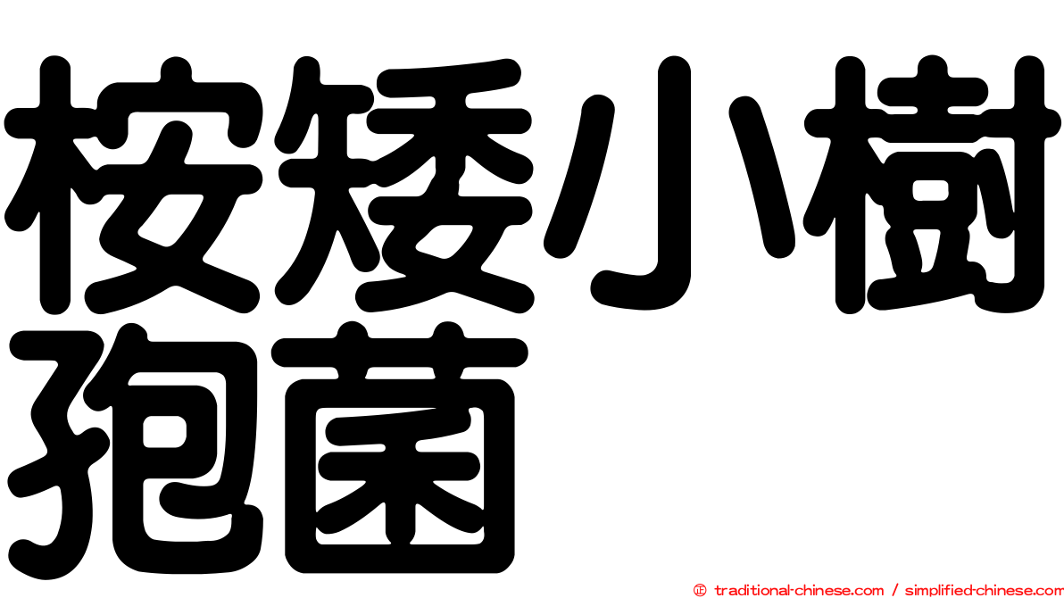 桉矮小樹孢菌
