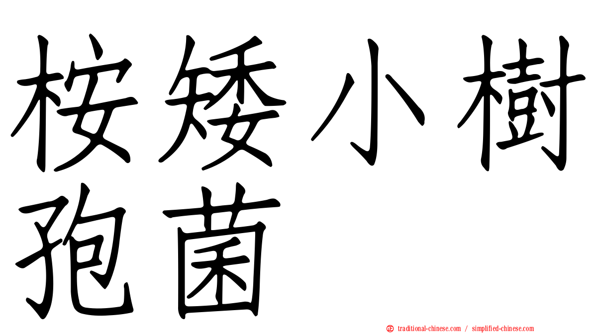 桉矮小樹孢菌