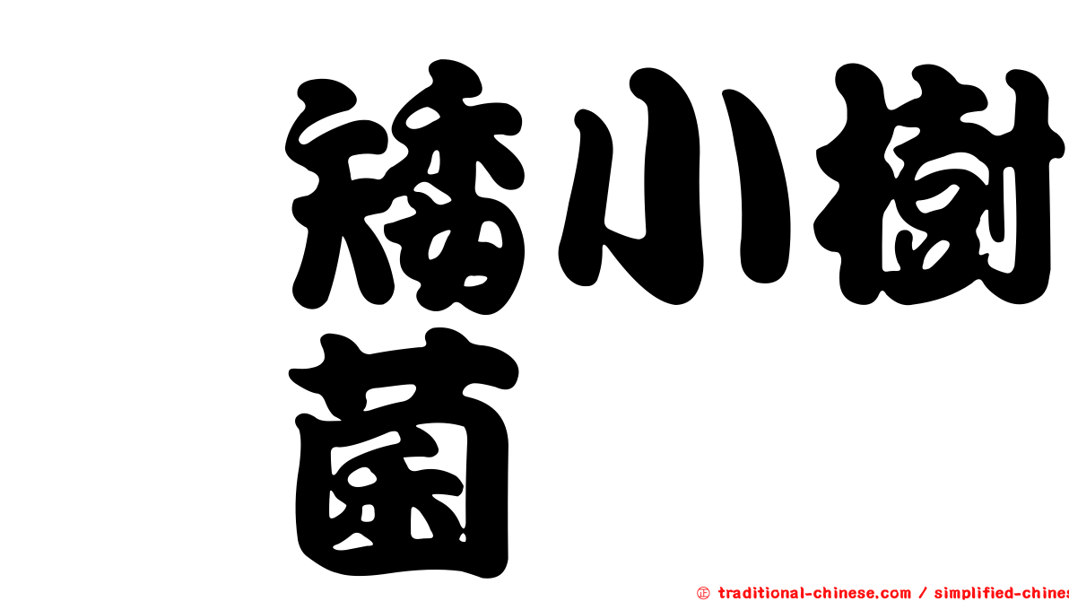 桉矮小樹孢菌