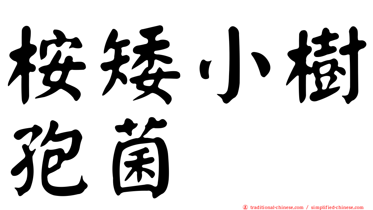 桉矮小樹孢菌