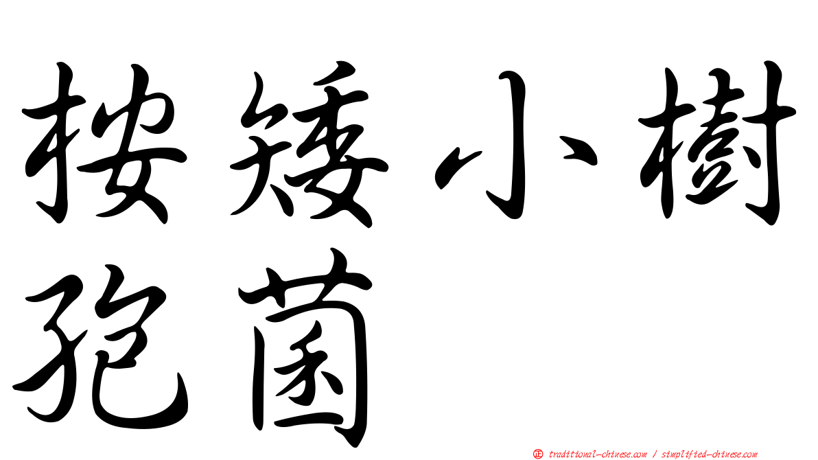 桉矮小樹孢菌