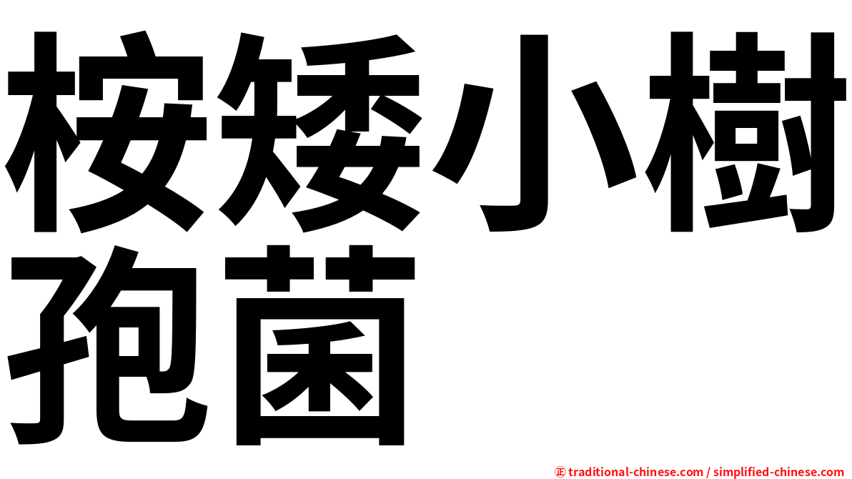桉矮小樹孢菌
