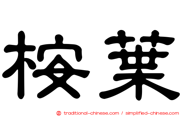 桉葉
