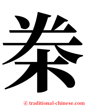 桊 serif font